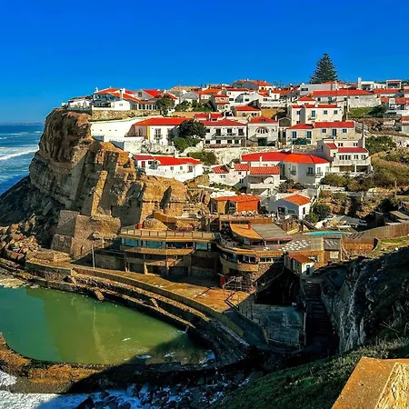 דירה Pet-friendly