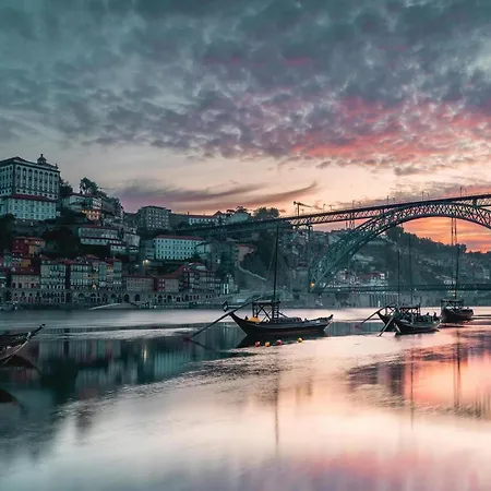 Cozy Pet-friendly Apartment Porto