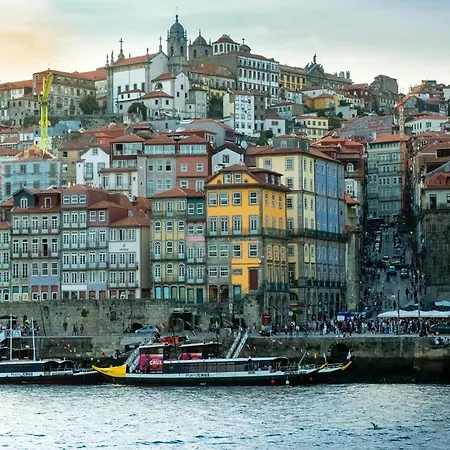 Apartment Cozy Pet-friendly Porto